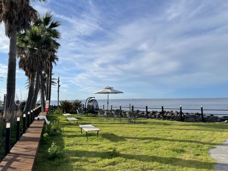 Jeju Island: Private Car Charter Tour - What to Expect During the Day