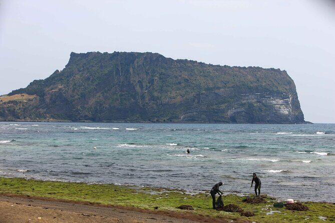 Jeju Island Private Car Tour with Expert Driver - Frequently Asked Questions