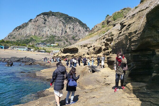 Jeju Island Private Charter Regular Taxi Tour and Free Schedule - Key Points