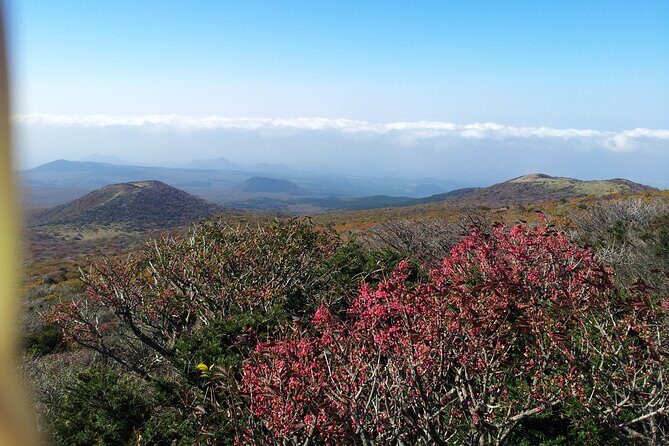 jeju island Private Taxi Hallasan Hiking Trail Transfer - One way - Key Points
