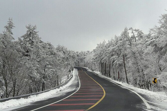 Jeju Island Private Taxi Tour: Mt. Hallasan and Waterfalls - Who Will Love This Tour?