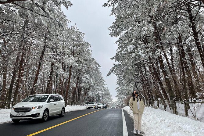 Jeju Island Snow Flower Tracking and Private Sledding Adventure - Exploring the Highlights of the Jeju Snow Flower and Sledding Tour