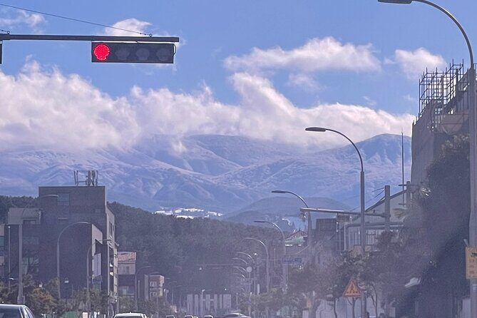 Jeju Island Snow Flower Tracking and Private Sledding Adventure - What Travelers Have Said