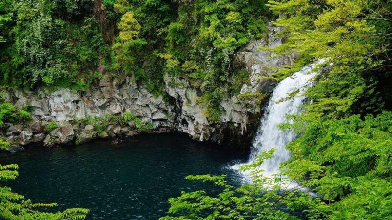 jeju-island-south-route-one-day-tour-optional-attractions
