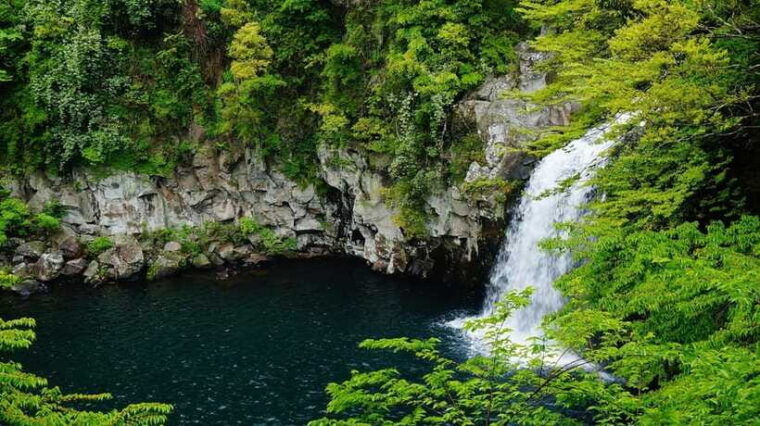 jeju-island-south-route-one-day-tour-optional-attractions