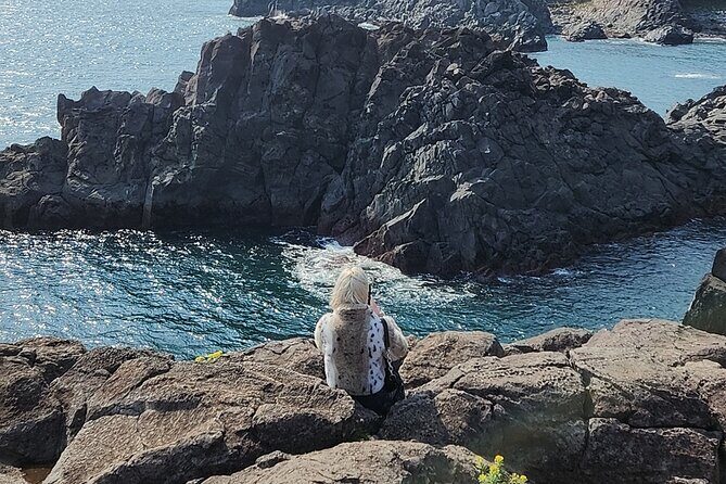 Jeju island Southern UNESCO Day Tour With Hallasan MT - Guides and Guest Experiences