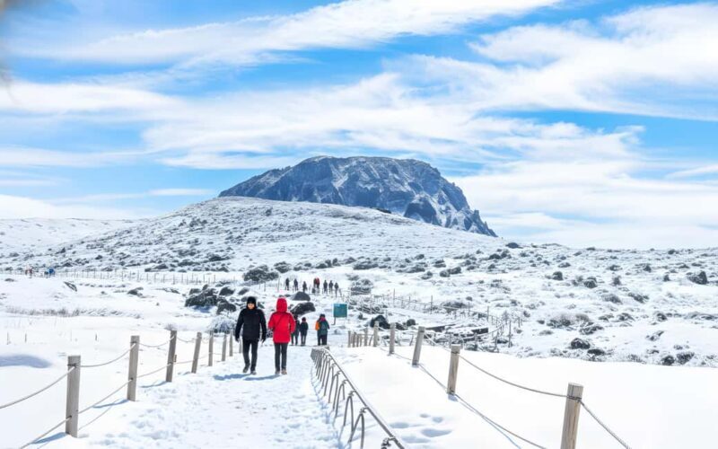 Jeju Island: SouthWest UNESCO Highlights Full-Day Tour - Key Points