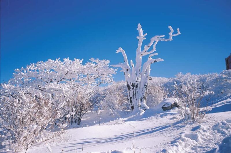 Jeju Island: SouthWest UNESCO Highlights Full-Day Tour - Exploring the Itinerary in Detail