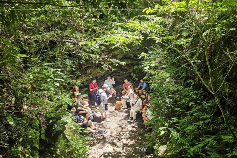 Jeju Island: SouthWest UNESCO Highlights Full-Day Tour - Final Thoughts: Who Should Book This Tour?