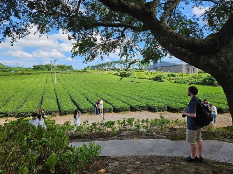 Jeju Island: SouthWest UNESCO Highlights Full-Day Tour - FAQ