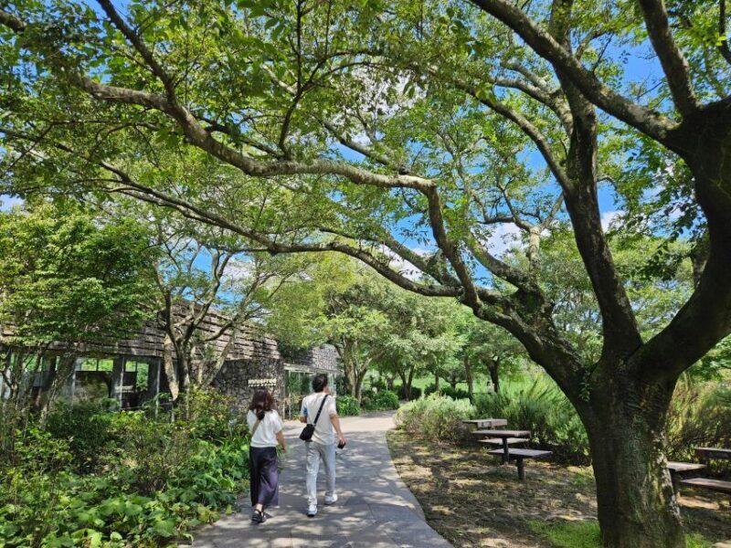 Jeju Island: SouthWest UNESCO Highlights Full-Day Tour - Final Words