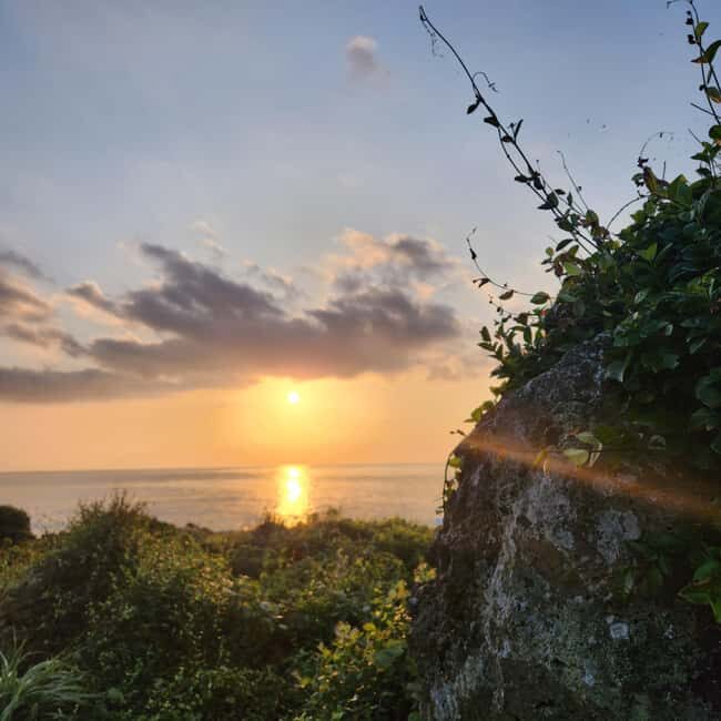 Jeju Island: Sunrise Guided Tour with Hotel Pickup - Who Is This Tour Best For?