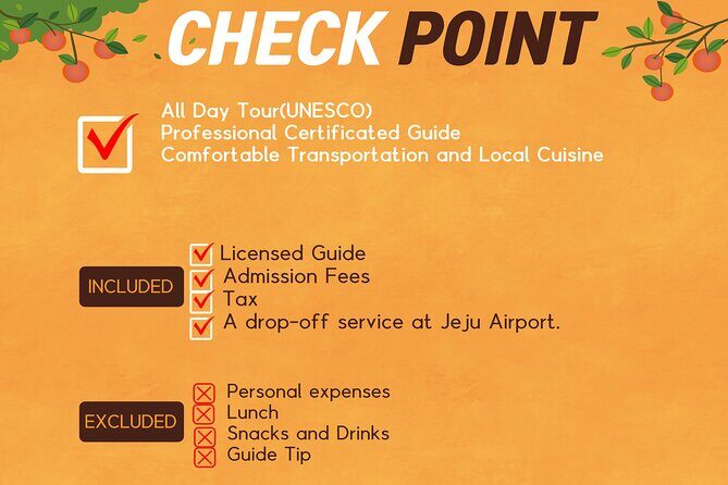 Jeju Island UNESCO Heritage Bus Tour - Analyzing Value and Practicalities