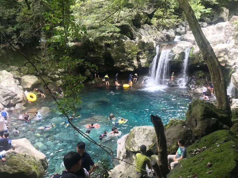 Jeju island: Van tour with a guide who the most loves JEJU - Why This Tour is Worth Considering