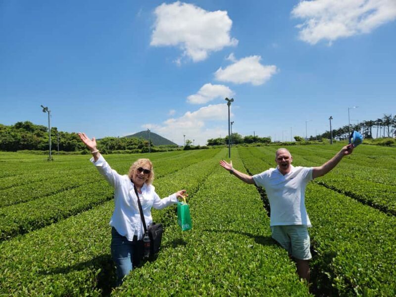 Jeju: Luxury Private Tour with UNESCO Sites & Yacht Cruise - Key Points