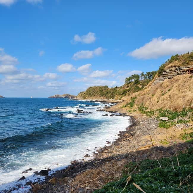 Jeju: Popular Sightseeing Private Car Charter Tour - What’s Included & What’s Not?