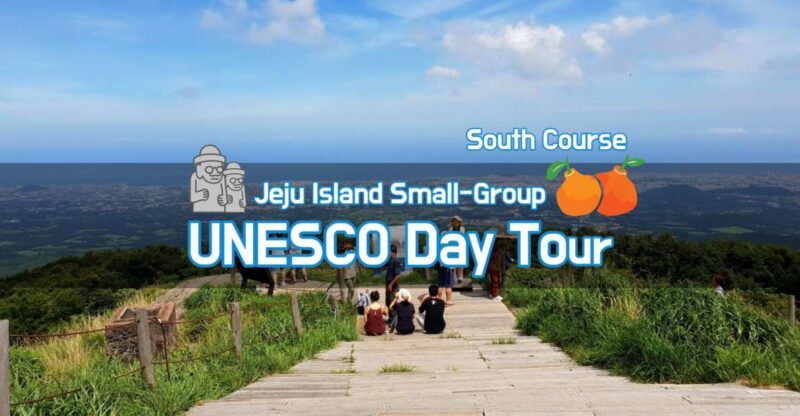Jeju Premium Small Group UNESCO Day Tour - South - End of the Day: Return and Reflection