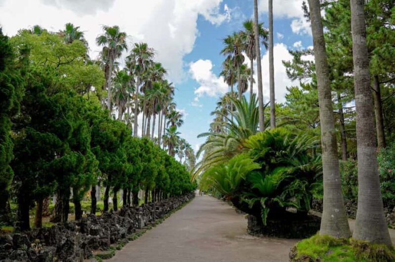 Jeju: Premium Small Group UNESCO Day Tour - West Coast - Key Points