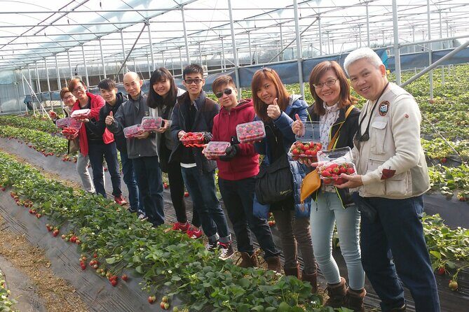 jeju Private Day Taxi tour - West of Jeju Island - Who Will Love This Tour?