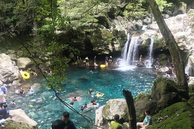 Jeju Private Day Tour from Gangjeong Cruise Terminal. - Who Will Love This Tour?