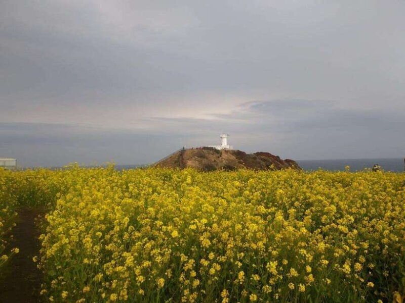 jeju-private-tour-with-an-english-guide-and-a-vehicle