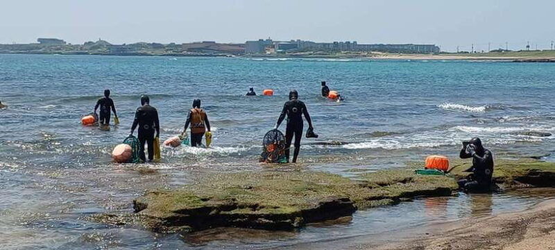 jeju-private-tour-with-an-english-guide-and-a-vehicle