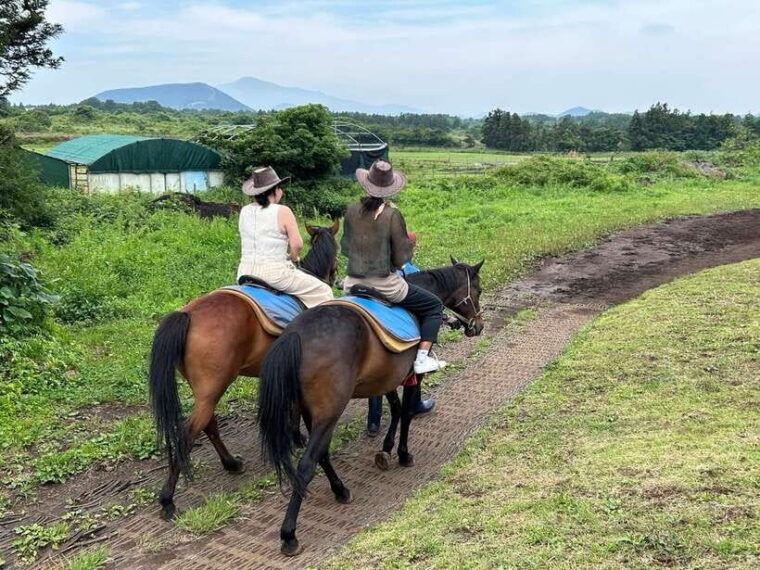 jeju-private-tour-with-an-english-guide-and-a-vehicle