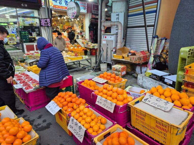 jeju-private-tour-with-an-english-guide-and-a-vehicle