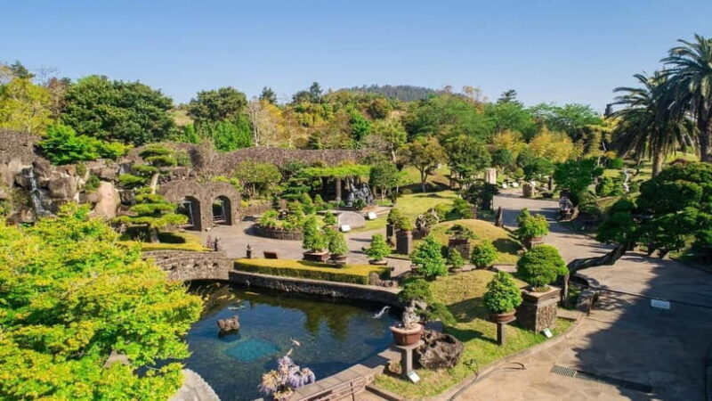 Jeju: Private VIP Day Tour with Tickets - Final Thoughts  