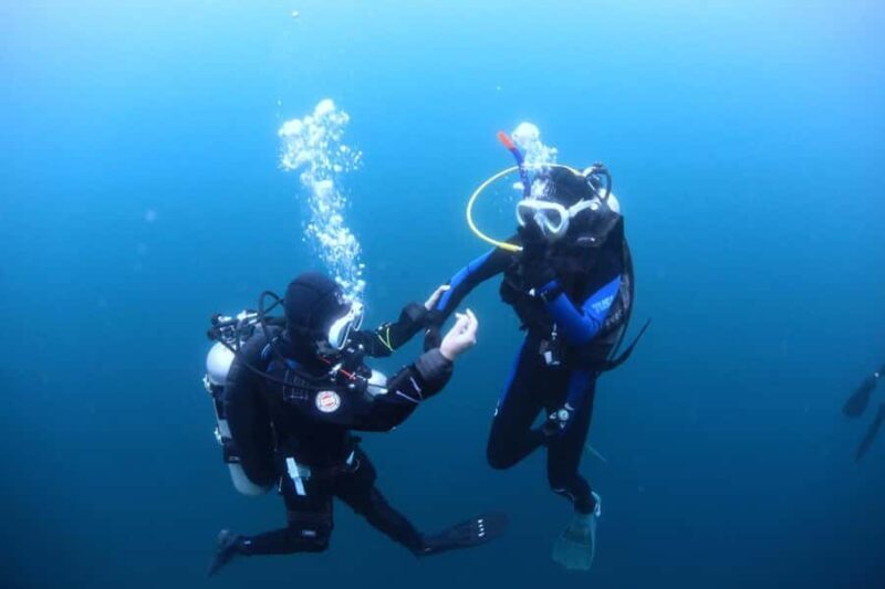 Jeju: Scuba Diving Experience near Seongsan Ilchulbong - What to Expect from the Experience