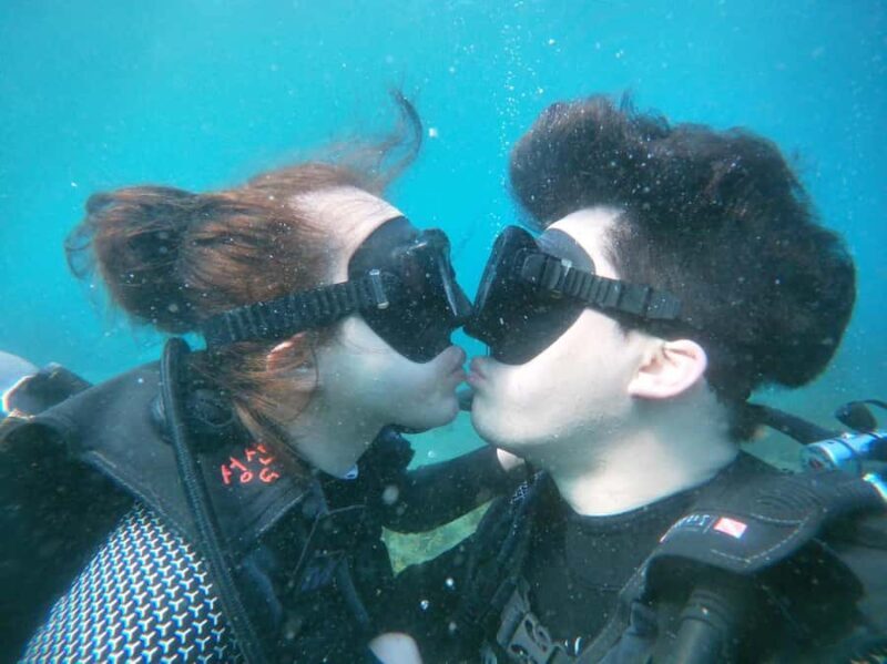 Jeju: Scuba Diving Experience near Seongsan Ilchulbong - Final Thoughts: Who Should Consider This Tour?