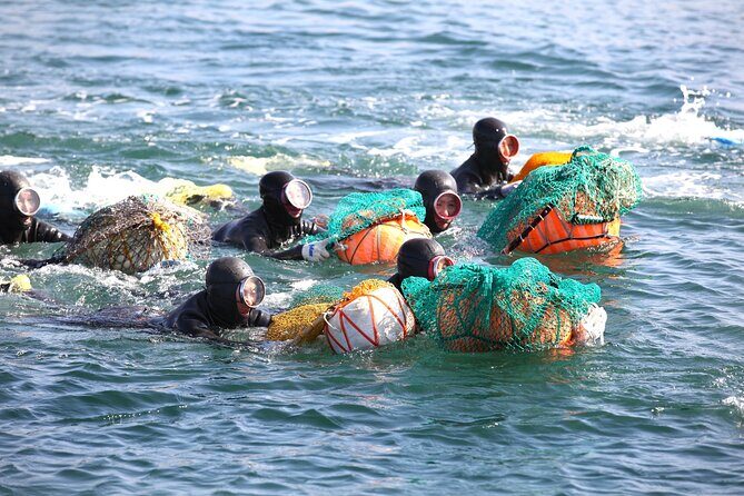 Jeju Shore Excursion for Cruise Passengers: UNESCO & Highlights - Who Will Love This Tour?