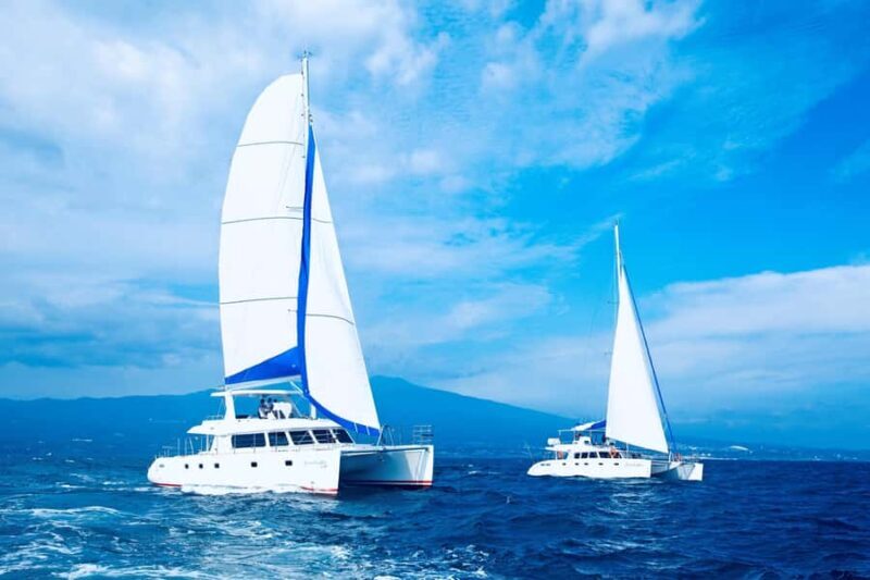 Jeju Small Group Tour incl. Yacht Cruise, Falls & Mt.Halla - Who Will Love This Tour?