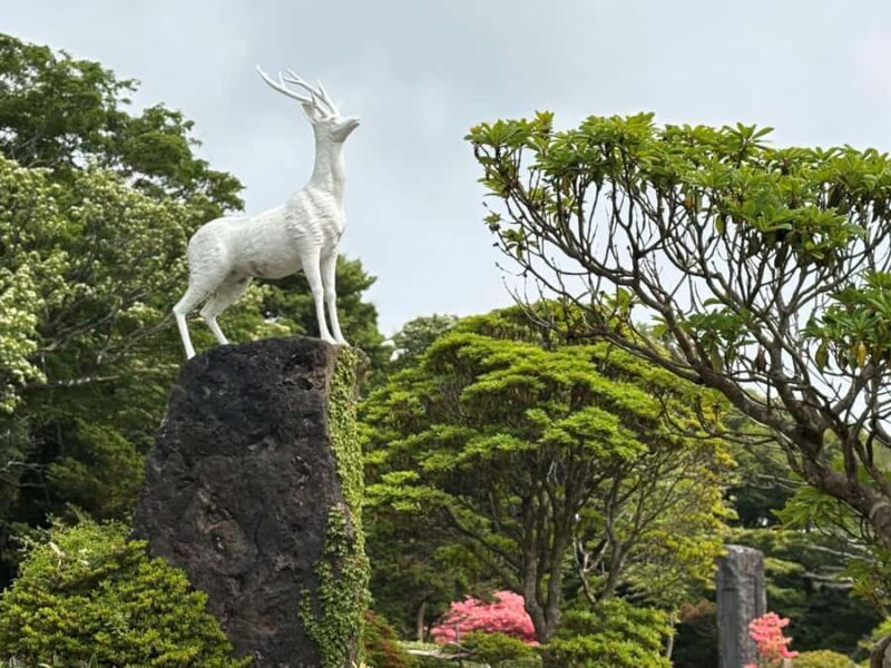 Jeju Small Group Tour incl. Yacht Cruise, Falls & Mt.Halla - Final Thoughts