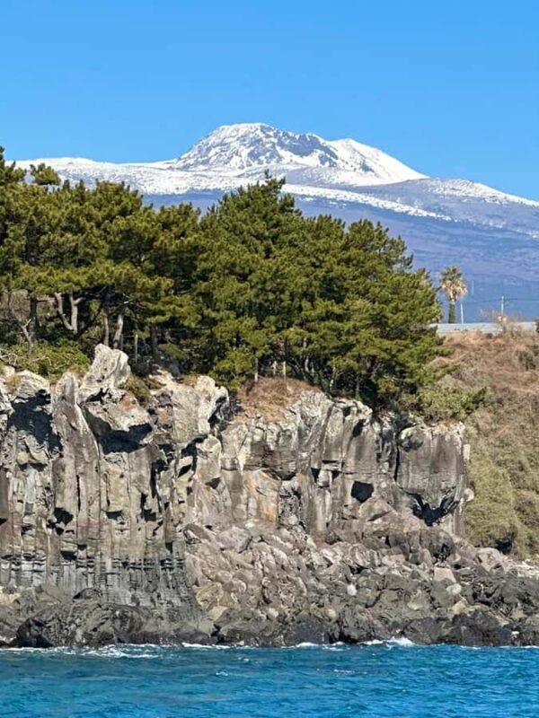 Jeju Small Group Tour incl. Yacht Cruise, Falls & Mt.Halla - FAQ