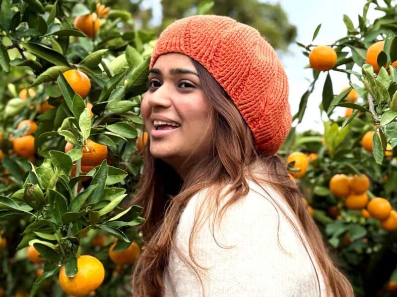 Jeju: Small Group Tour w/ Camellia & Tangerine Picking - Detailed Breakdown of the Itinerary