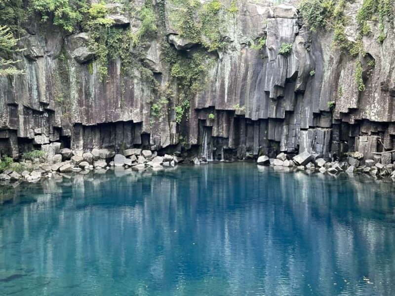 Jeju: Small Group Tour w/ Camellia & Tangerine Picking - Final Thoughts