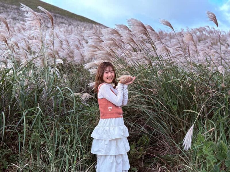 Jeju: Small Group Tour w/Pink Muhly & Tangerine Picking - Key Points