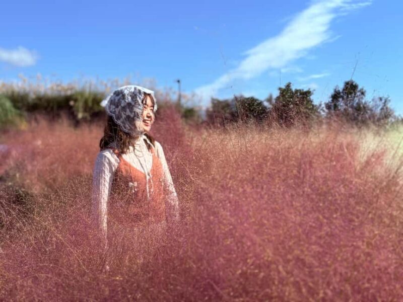 Jeju: Small Group Tour w/Pink Muhly & Tangerine Picking - Authentic Experiences and Genuine Value