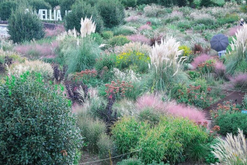 Jeju: Small Group Tour w/Pink Muhly & Tangerine Picking - FAQs