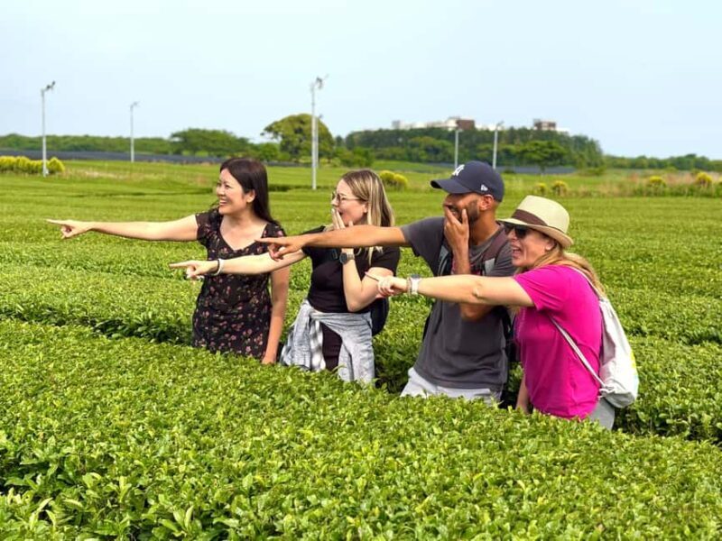 Jeju South: Small Group Healing Tour w/Mt.Halla & Olle Trail - Who Should Book This Tour?