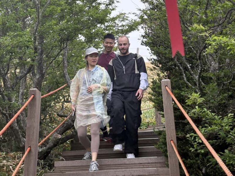 Jeju South: Small Group Healing Tour w/Mt.Halla & Olle Trail - Final Thoughts