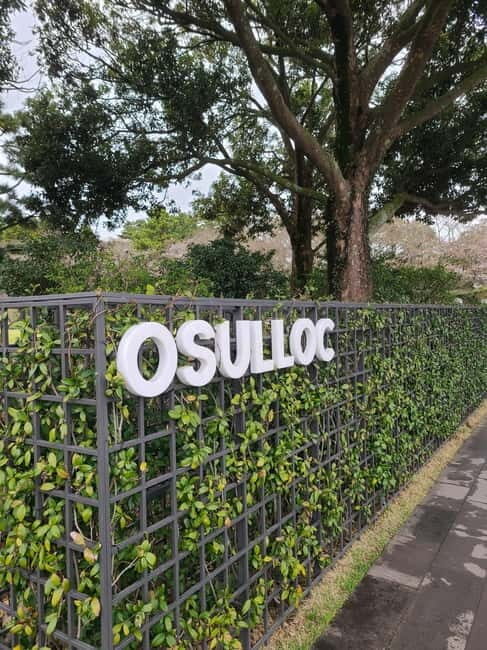 Jeju: Southern UNESCO Geopark Day Tour - The Sum Up