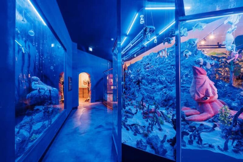 Jeju: Teddy Bear House TESEUM Entry Ticket - Key Points