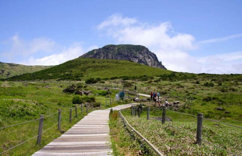 Jeju: UNESCO Day Tour for Cruise Guests - A Closer Look at the Tour Itinerary