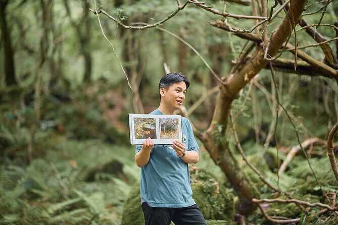 Jeju UNESCO Eco Trek  Full Day Private Nature & Culture Tour - Introduction