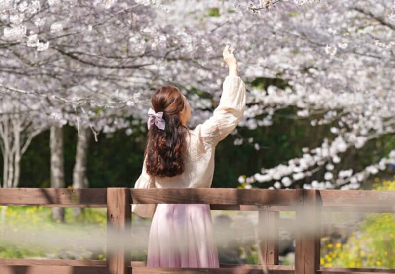 Jeju: UNESCO Heritage Sites Authentic Day Tour(Western) - What Makes This Tour Stand Out?