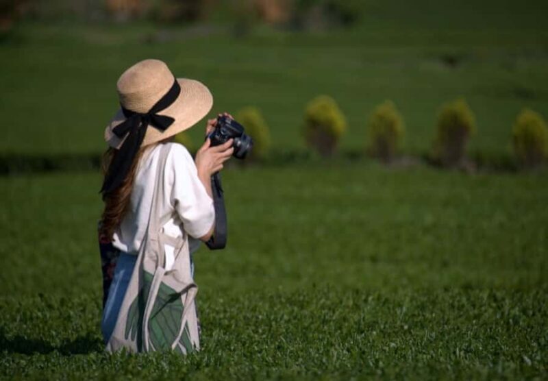 Jeju: UNESCO Heritage Sites Authentic Day Tour(Western) - Who Should Take This Tour?