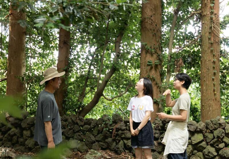 Jeju: UNESCO-Listed Southern Authentic Day Tour - The Itinerary Breakdown: What Youll Love