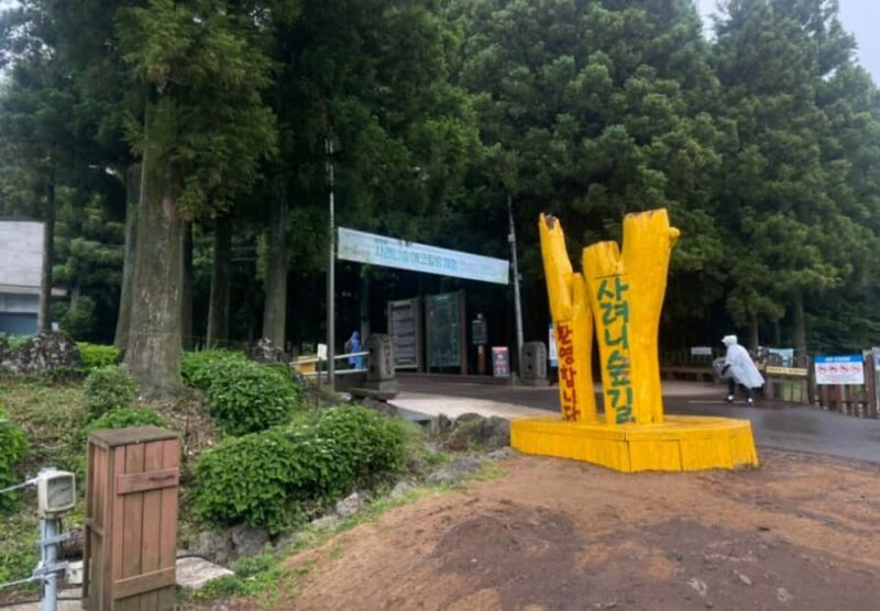 Jeju: UNESCO Sites Tour with Haenyeo Show(Eastern) - What Makes This Tour Valuable